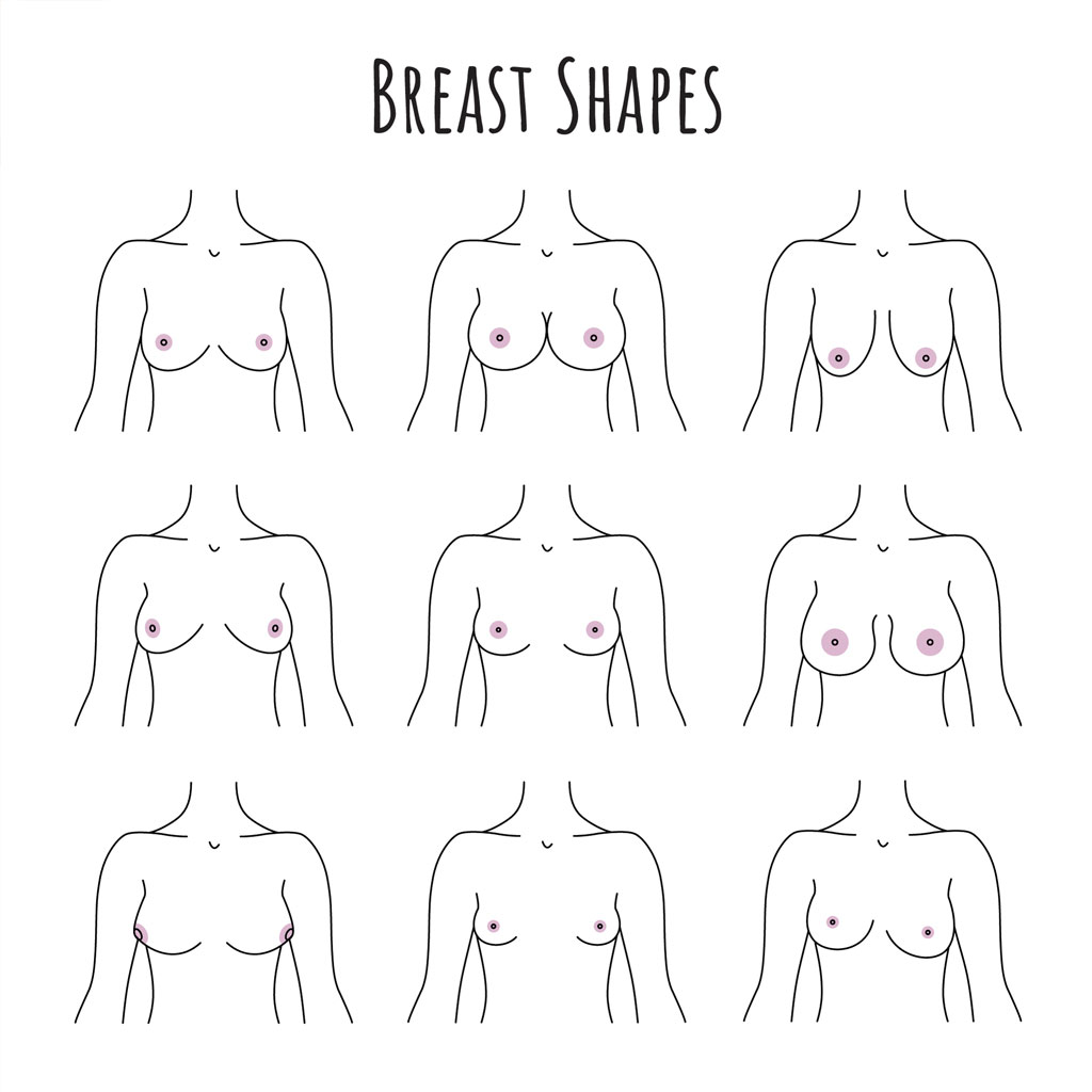 Breast Shapes