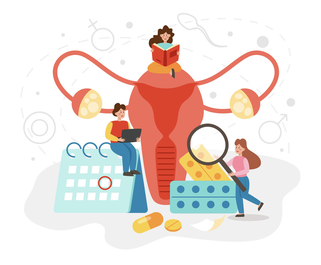 Female Reproductory System